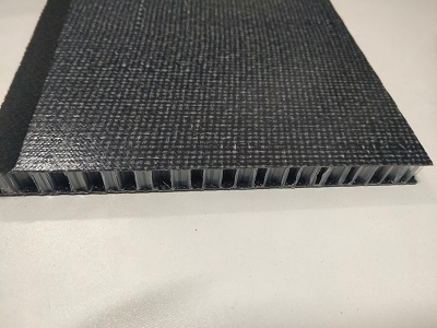 PP GF Honeycomb composite panel